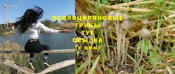 гашик Белоозёрский
