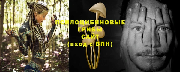 трава Беломорск